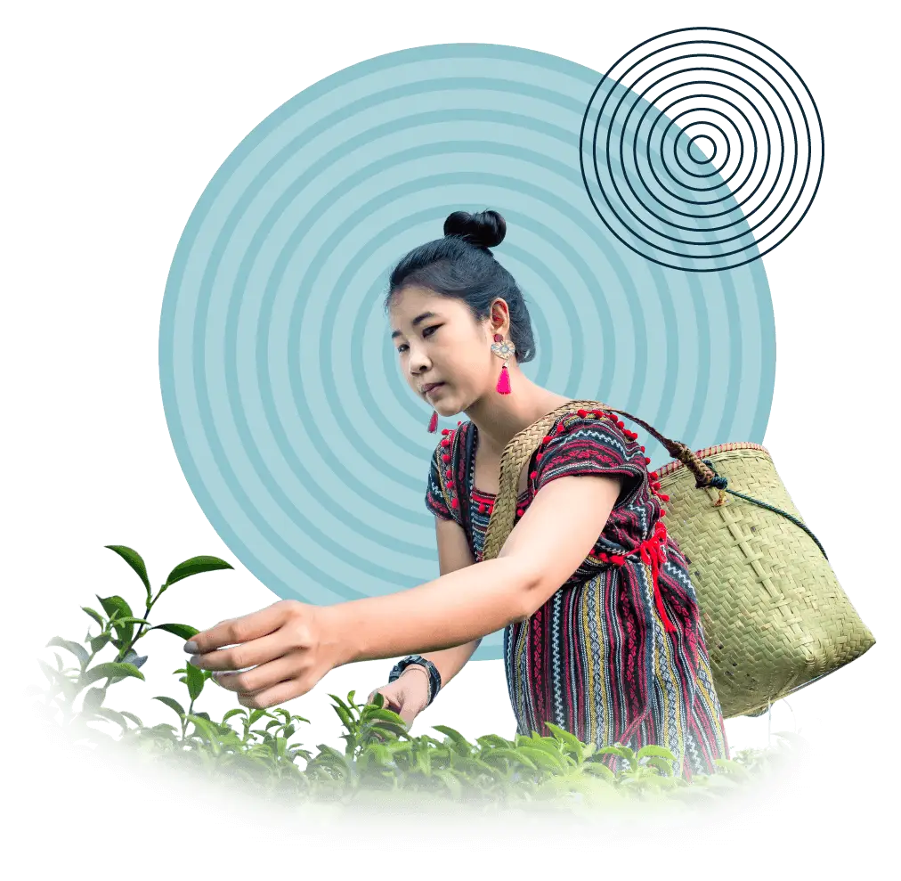 Program_Partners_co-impact