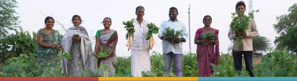 A group of people standing together in an agricultural field | Co-Impact website.